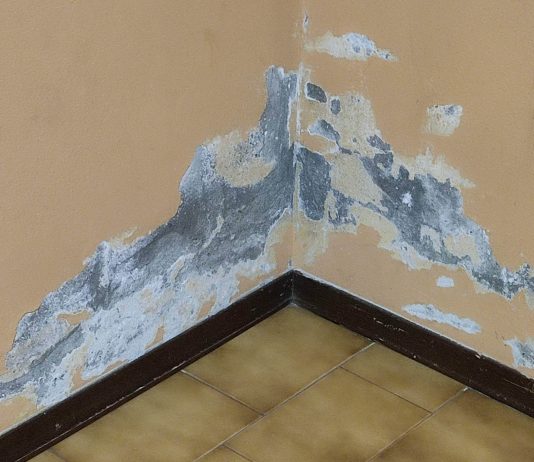 Palasport di Soave, bocciata la mozione di Pernigotti e Voi: “ma il degrado rimane”