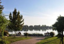 Gonzaga, MargoFest ai Laghi Margonara tra natura, laboratori e musica