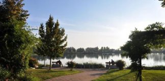 Gonzaga, MargoFest ai Laghi Margonara tra natura, laboratori e musica
