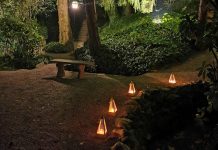 Asola, “Note per Sognare”: musica e magia nel solstizio d’estate