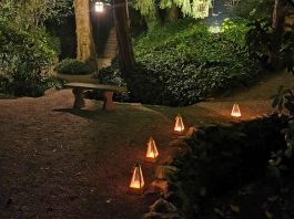 Asola, “Note per Sognare”: musica e magia nel solstizio d’estate