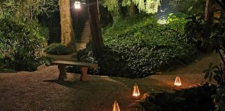 Asola, “Note per Sognare”: musica e magia nel solstizio d’estate