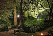 “Note per Sognare”, musica e natura sabato al Parco Terzi di Asola