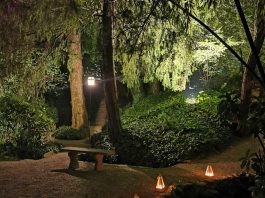 “Note per Sognare”, musica e natura sabato al Parco Terzi di Asola