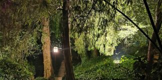 “Note per Sognare”, musica e natura sabato al Parco Terzi di Asola