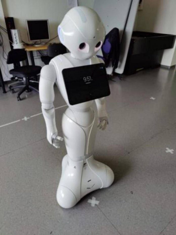 pepper