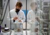 Cancro polmone, ok Ue a lurbinectedina più atezolizumab in prima linea