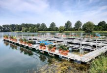 Gonzaga, un giardino sull’acqua pronto a rinascere ai Laghi Margonara