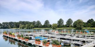 Gonzaga, un giardino sull’acqua pronto a rinascere ai Laghi Margonara