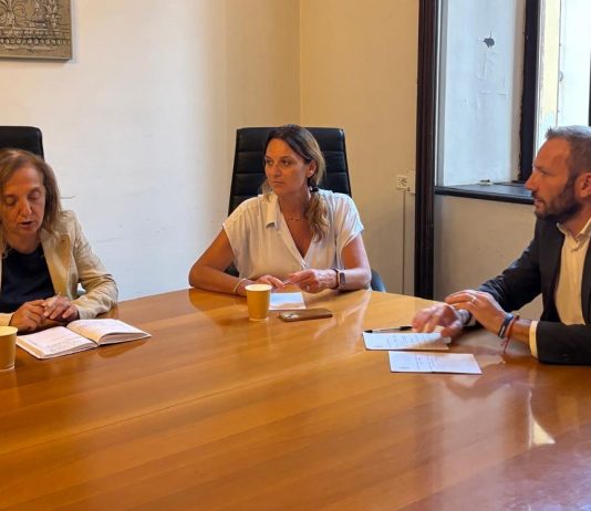 Mantova, notte bianca dello sport e grandi eventi: il piano di Simonazzi