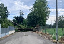 Danni da maltempo, Cna Mantova attiva un servizio di supporto per le imprese artigiane