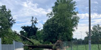 Danni da maltempo, Cna Mantova attiva un servizio di supporto per le imprese artigiane