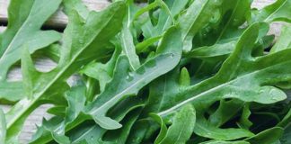 Dalla rucola un aiuto contro obesità e glicemia alta, lo studio