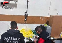 Lavoratori in nero e condizioni degradanti in laboratorio di confezionamento: attività sospesa, titolare denunciato