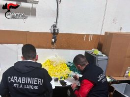 Lavoratori in nero e condizioni degradanti in laboratorio di confezionamento: attività sospesa, titolare denunciato