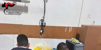 Lavoratori in nero e condizioni degradanti in laboratorio di confezionamento: attività sospesa, titolare denunciato
