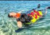 Sics a lavoro, i guardiani a quattro zampe del mare
