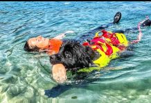 Sics a lavoro, i guardiani a quattro zampe del mare