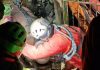 Salvo lo speleologo bloccato nella grotta in Piemonte, estratto dopo 12 ore