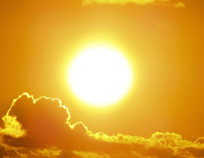 sole4_123rf_free_20260622084602