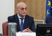 Sostenibilità, Specchio (CNGeGL): “Dai giovani idee risolutive per il territorio”