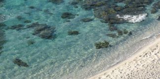 Niente ombrellone se hai tra 10 e 65 anni, il mondo guarda la Sardegna. E la regola divide turisti e ambientalisti