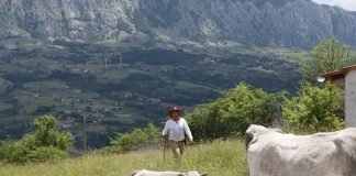 In Basilicata torna ‘Sirino in transumanza’