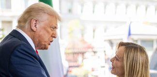 Trump ancora contro Meloni, premier in Cdm: “Tensioni non danneggino rapporti con Washington”