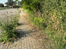 Opposizioni all’attacco, Bonesi replica sulle manutenzioni a Villa Saviola