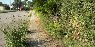 Opposizioni all’attacco, Bonesi replica sulle manutenzioni a Villa Saviola