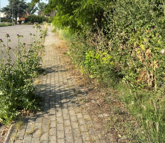 Opposizioni all’attacco, Bonesi replica sulle manutenzioni a Villa Saviola