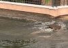 Maltempo nel Mantovano: pioggia, vento e grandine, Vigili del Fuoco al lavoro