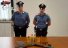 Viadana, festa rumorosa: i vicini “rispondono” sparando in aria, denunciati