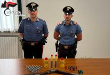 Viadana, festa rumorosa: i vicini “rispondono” sparando in aria, denunciati