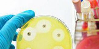 Ai e medicina di precisione per combattere super batteri resistenti, lo studio italiano su quasi 10.000 pazienti