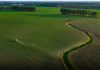 Portavoce Cina, pronti a facilitare commercio agricolo bilaterale con Usa