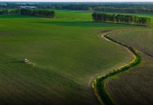 Portavoce Cina, pronti a facilitare commercio agricolo bilaterale con Usa