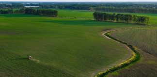 Portavoce Cina, pronti a facilitare commercio agricolo bilaterale con Usa