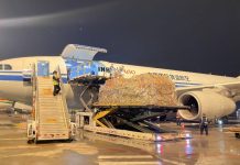 Cina, aperte 92 nuove rotte aeree cargo internazionali nel primo semestre