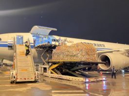 Cina, aperte 92 nuove rotte aeree cargo internazionali nel primo semestre