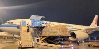 Cina, aperte 92 nuove rotte aeree cargo internazionali nel primo semestre