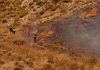 Spagna, almeno 11 vittime in un grave incendio in Andalusia