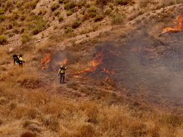 Spagna, almeno 11 vittime in un grave incendio in Andalusia