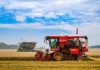 Cina, per la prima volta il raccolto di cereali estivi supera 150 mln tonnellate