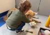 Purina e Frida’s Friends, pet therapy in Neurologia Pediatrica al Fatebenefratelli