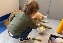 Purina e Frida’s Friends, pet therapy in Neurologia Pediatrica al Fatebenefratelli