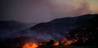 Grecia, situazione critica a Creta per gli incendi con 8 mila evacuati