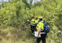 Protezione Civile Colli Morenici, esercitazione scenari di rischio condivisa con gruppi Suzzara ed Isorella