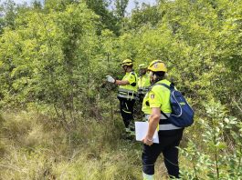 Protezione Civile Colli Morenici, esercitazione scenari di rischio condivisa con gruppi Suzzara ed Isorella