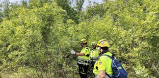 Protezione Civile Colli Morenici, esercitazione scenari di rischio condivisa con gruppi Suzzara ed Isorella